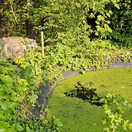 Nahe Ostsee In Der Geltinger Birk Semesterbostad